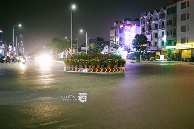 Câu chuyện đáng yêu về hai vợ chồng “dịu dàng giữa thịnh nộ”: Mang hoa ế 30 Tết trang trí cho vòng xoay ở Sài Gòn - Ảnh 8.