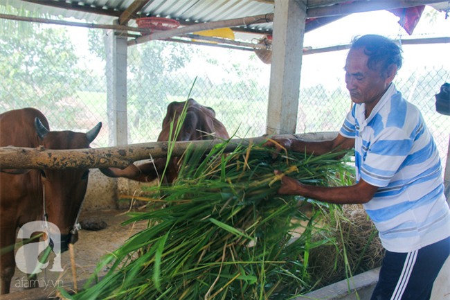 Tết mới của gia đình người mẹ điên ở Trà Vinh: Ấm áp và tràn ngập tiếng cười nhờ những tấm lòng - Ảnh 18.