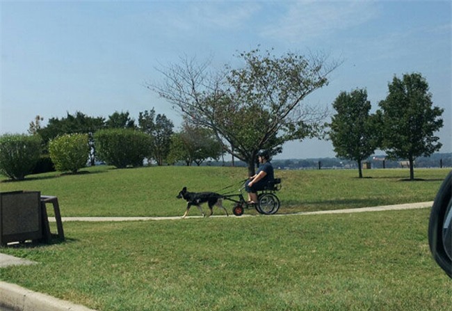 nhung ke "luoi bieng" thuong rat sang tao hinh anh 11