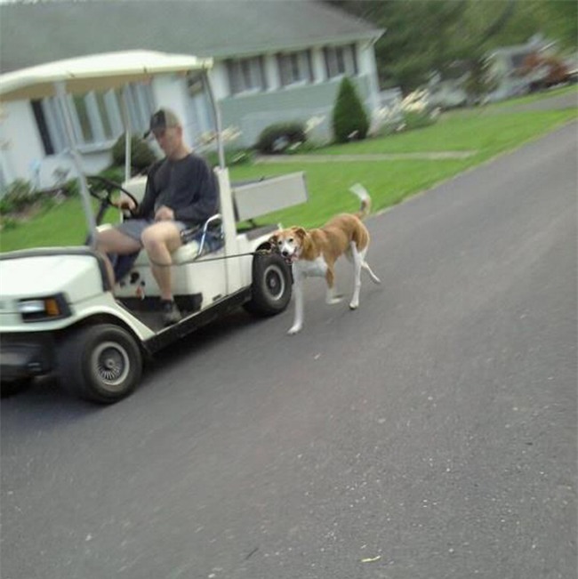 nhung ke "luoi bieng" thuong rat sang tao hinh anh 5