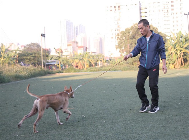 Năm Tuất và chuyện con chó gắn bó với đời sống của người Việt chúng ta như thế nào? - Ảnh 1.