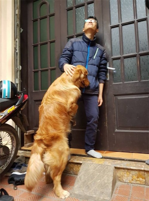 Tết Mậu Tuất 2018, dân tình đua nhau khoe ‘biểu cảm của boss’ - Ảnh 2.