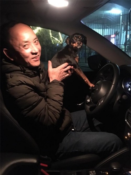 Tết Mậu Tuất 2018, dân tình đua nhau khoe ‘biểu cảm của boss’ - Ảnh 9.