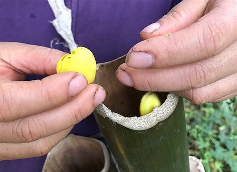 trà quý,chè đặc sản