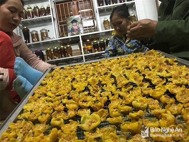 trà quý,chè đặc sản