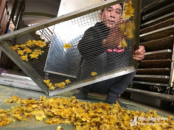 trà quý,chè đặc sản
