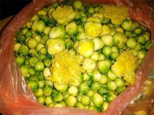 trà quý,chè đặc sản