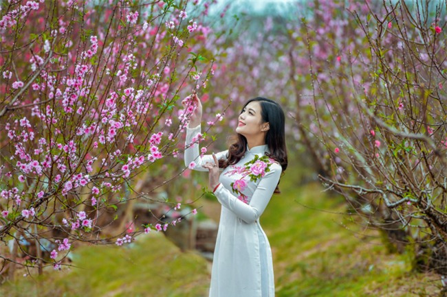 nu mc ha noi dep "quen loi ve" ben vuon dao tet hinh anh 5