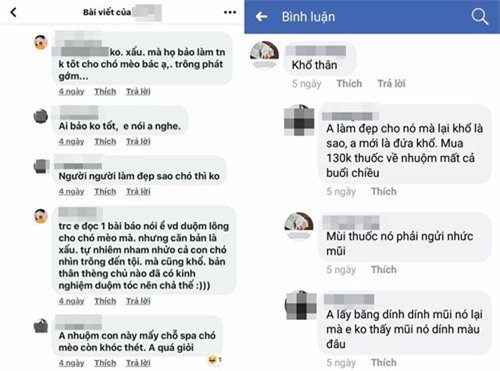 Nhuộm lông hồng rực cho chó, người chủ bị dân mạng ném đá không tiếc tay - Ảnh 3.