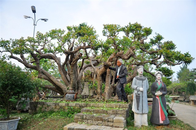 xon xao nhung thuong vu mua ban sieu cay bac ty cua dai gia viet hinh anh 11