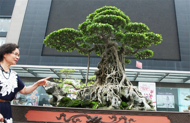 xon xao nhung thuong vu mua ban sieu cay bac ty cua dai gia viet hinh anh 3