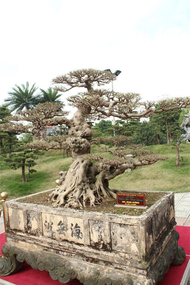 xon xao nhung thuong vu mua ban sieu cay bac ty cua dai gia viet hinh anh 7