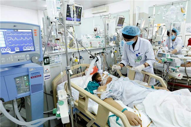 am anh vi cac ca uong thuoc diet co tu tu trong dip nghi tet mau tuat - 1