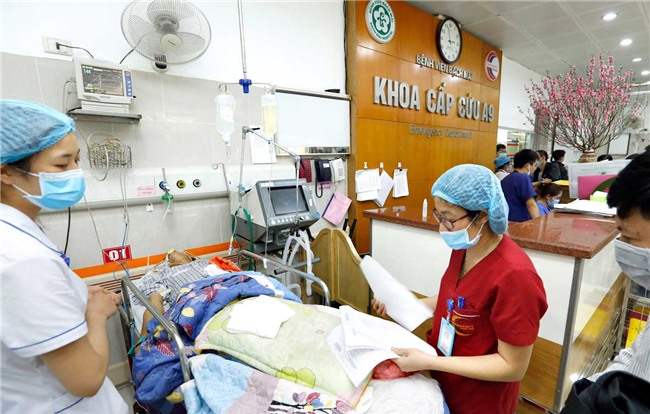 am anh vi cac ca uong thuoc diet co tu tu trong dip nghi tet mau tuat - 4