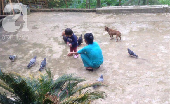 Lúc đưa dâu, họ hàng tới nhà trai nhiều người nhìn căn nhà cười khẩy: Câu chuyện hút gần 10 ngàn like chứng minh vẫn còn túp lều tranh và trái tim vàng - Ảnh 6.