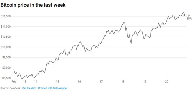 bitcoin,giá bitcoin,bitcoin hàn quốc