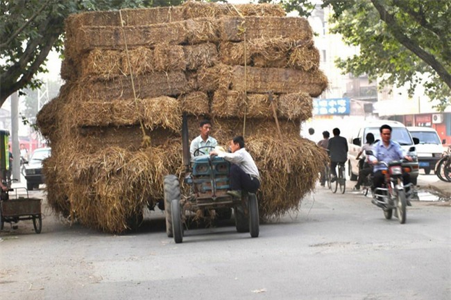 "giat minh" voi nhung ke xem thuong tinh mang hinh anh 13