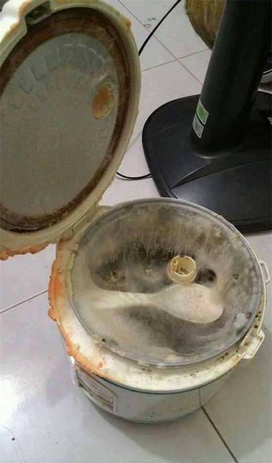 choang voi nhung hinh anh "banh chung bong lan", "noi com may" sau tet - 7