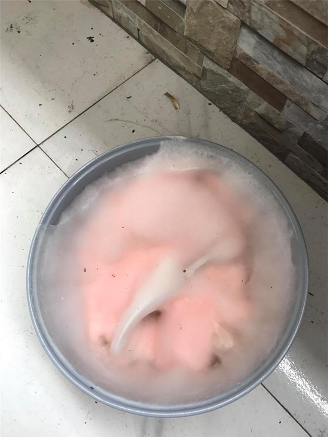 choang voi nhung hinh anh "banh chung bong lan", "noi com may" sau tet - 6