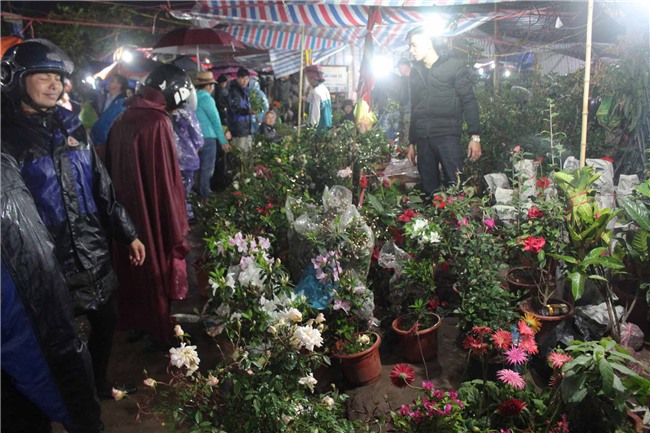 hang nghin nguoi dan doi mua di “sam” do o cho vieng cau may - 6