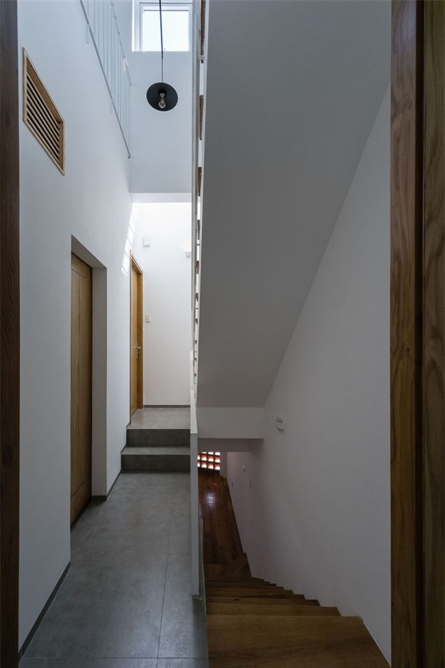 nha vua hep vua meo o sai gon lai duoc bao my ngoi ca nhu kiet tac hinh anh 14