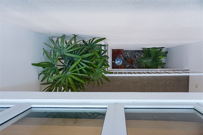 nha vua hep vua meo o sai gon lai duoc bao my ngoi ca nhu kiet tac hinh anh 19