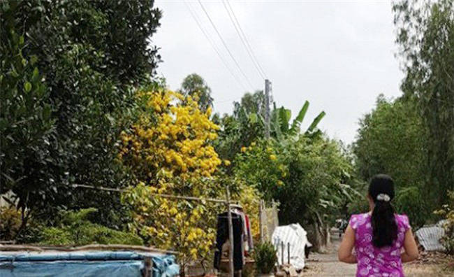 Gia đình của nghi phạm giết 5 người ở Sài Gòn sợ bị trả thù