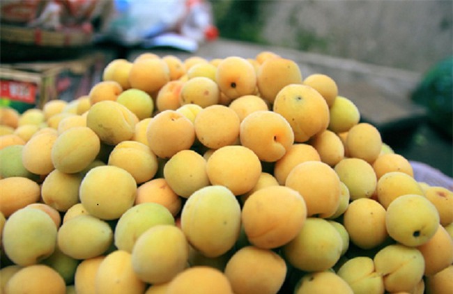 Đi hội chùa Hương, đừng quên nếm thử 5 đặc sản dân dã mà khó quên này - Ảnh 8.