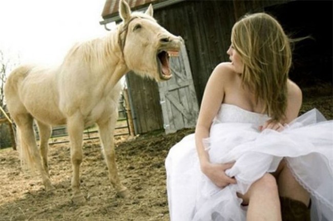 hinh anh cac co dau khien hai ho phai "do mat" hinh anh 12