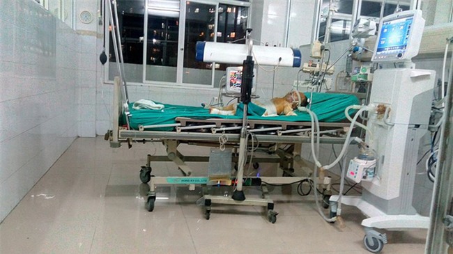 Thái Bình: Chập điện cháy nhà giữa đêm, vợ chồng bỏng nặng, bé gái 4 tuổi nguy kịch