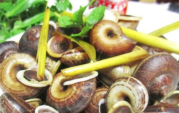 nhung dac san tay ninh khong the bo lo mua di le ram thang gieng - 3