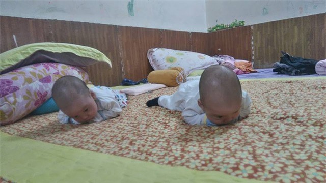 3 bé trai sinh cùng trứng 200 triệu ca mới có 1 trên thế giới bây giờ thế nào? - Ảnh 2.