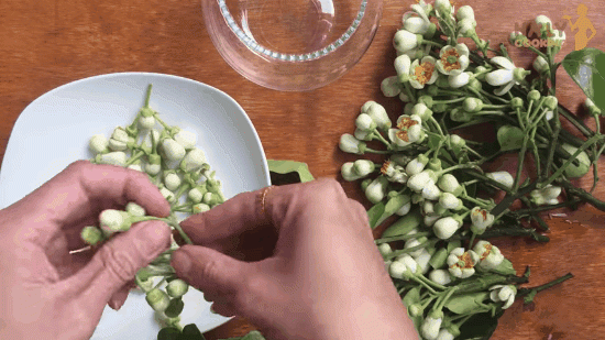 mach chi em cach lam nuoc hoa buoi sieu de de nau che, lam banh thom ngat ngay - 1