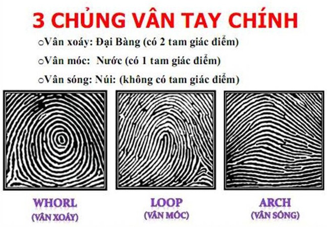 Xem hình dáng vân tay có thể biết bạn có nguy cơ ung thư, tiểu đường không-1