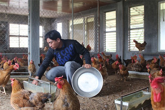 cu nhan ve que o nha cap 4,