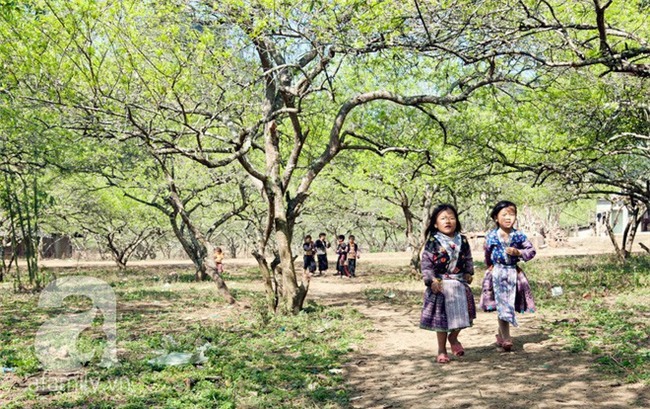 5 điểm du lịch đẹp ngất ngây, đáng giá từng xu cho những ngày tháng Giêng mải miết ăn chơi - Ảnh 11.