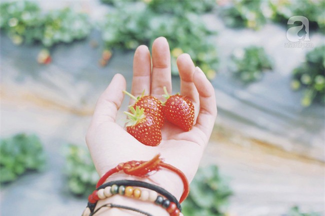 5 điểm du lịch đẹp ngất ngây, đáng giá từng xu cho những ngày tháng Giêng mải miết ăn chơi - Ảnh 12.