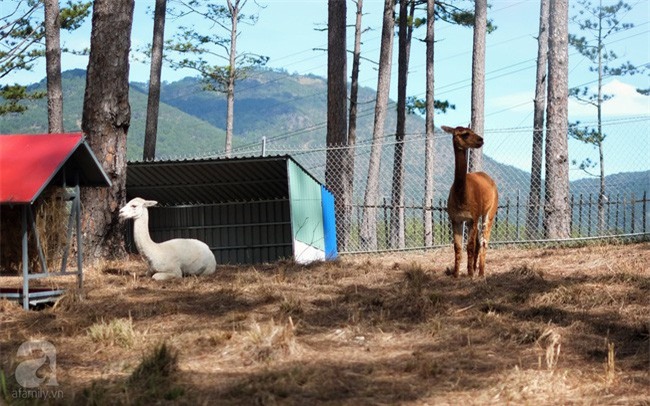 5 điểm du lịch đẹp ngất ngây, đáng giá từng xu cho những ngày tháng Giêng mải miết ăn chơi - Ảnh 22.