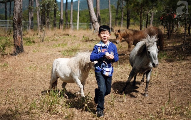 5 điểm du lịch đẹp ngất ngây, đáng giá từng xu cho những ngày tháng Giêng mải miết ăn chơi - Ảnh 23.
