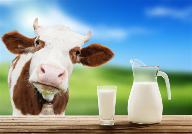 Chuyên gia Vũ Thế Thành: So về thành phần dinh dưỡng, sữa mẹ thua xa... sữa bò, nhưng... - Ảnh 1.