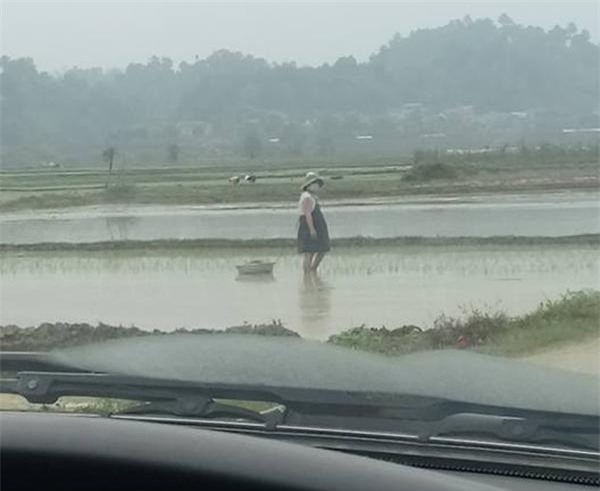 me bau bung to vuot mat van cong lung cay lua, ai nhin cung thay "thuong qua di" - 1