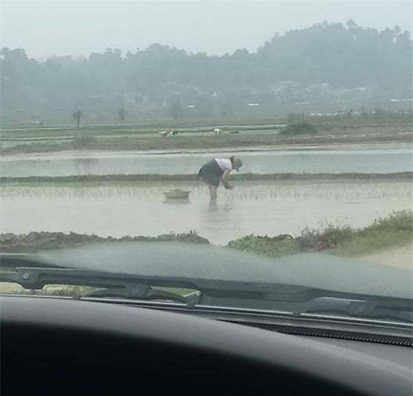 me bau bung to vuot mat van cong lung cay lua, ai nhin cung thay "thuong qua di" - 2
