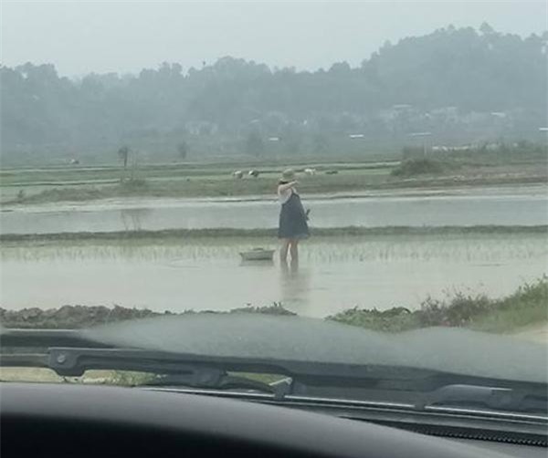 me bau bung to vuot mat van cong lung cay lua, ai nhin cung thay "thuong qua di" - 3