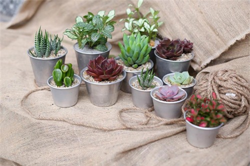 ngày Quốc tế phụ nữ,ngày 8/3