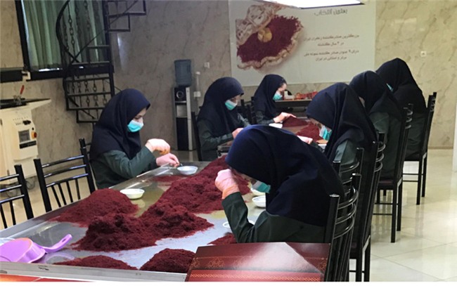 khởi nghiệp,nhụy hoa nghệ tây,đặc sản nhà giàu,Saffron