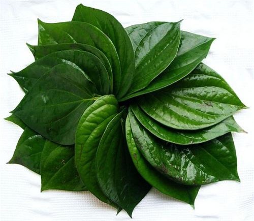 hoc ngay meo dan gian giup tri nam da bang la trau duoc chi em truyen tai nhau! - 1