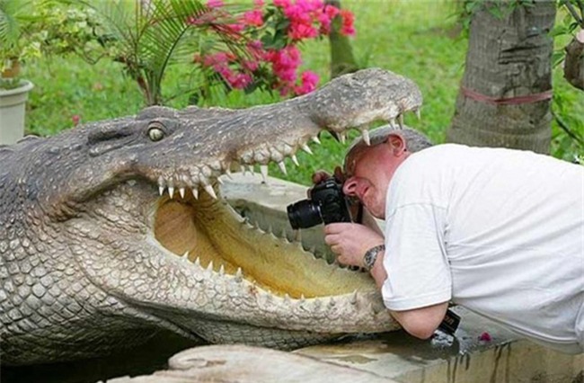 muon lam nhiep anh gia "ba dao", quan trong la than thai hinh anh 14