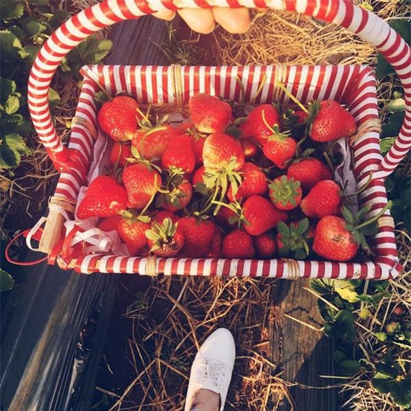 len moc chau ngam hoa ban no, nem dac san cao nguyen den "quen ca duong ve" - 11