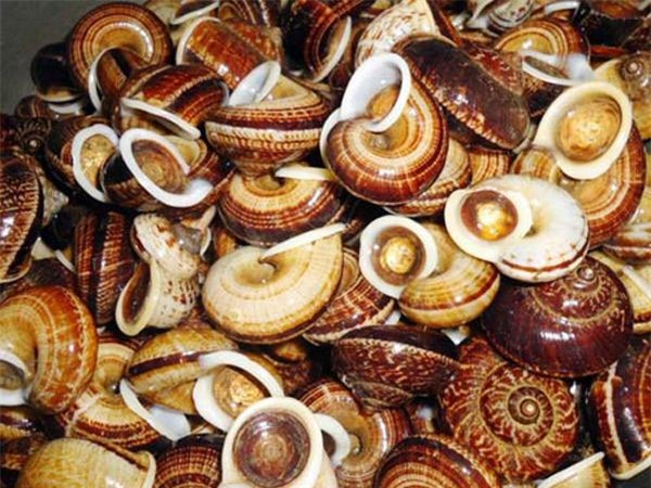 len moc chau ngam hoa ban no, nem dac san cao nguyen den "quen ca duong ve" - 3