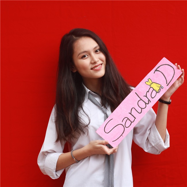 Cô bạn trường Ams xinh như hot girl, nhận học bổng du học từ 8 trường ĐH trên thế giới - Ảnh 2.